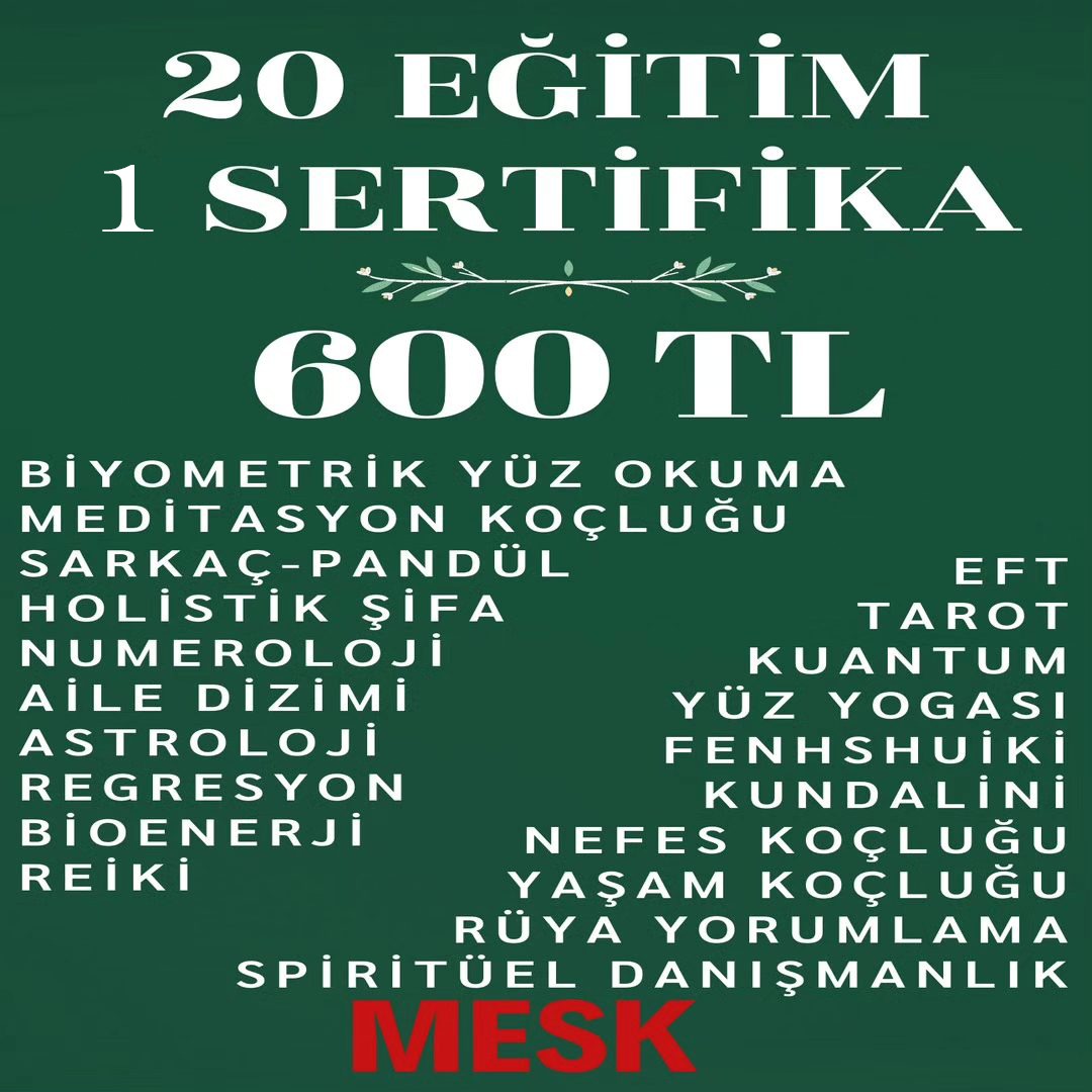 20 EĞİTİM PAKETİ 1 E DEVLET SERTİFİKA